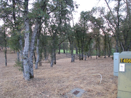  CA